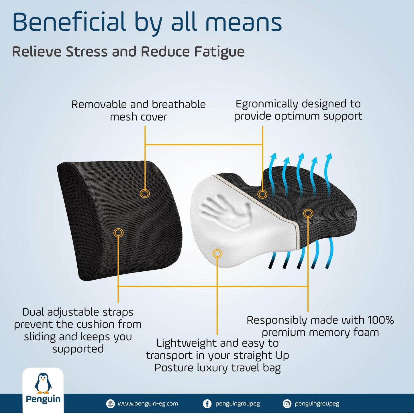 Penguin Group Cushions Lumbar & Coccyx Seat Cushion