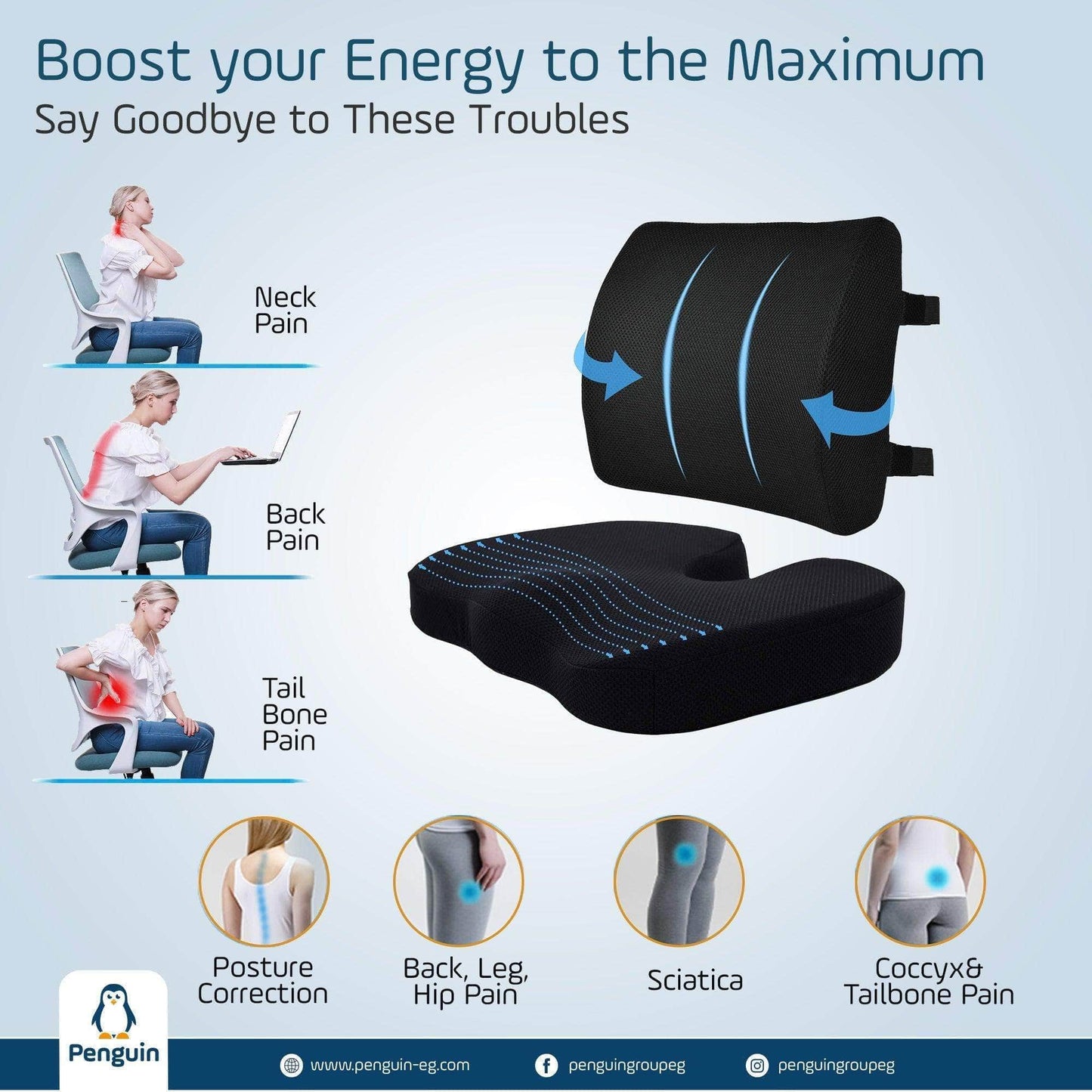 Penguin Group Cushions Lumbar & Coccyx Seat Cushion