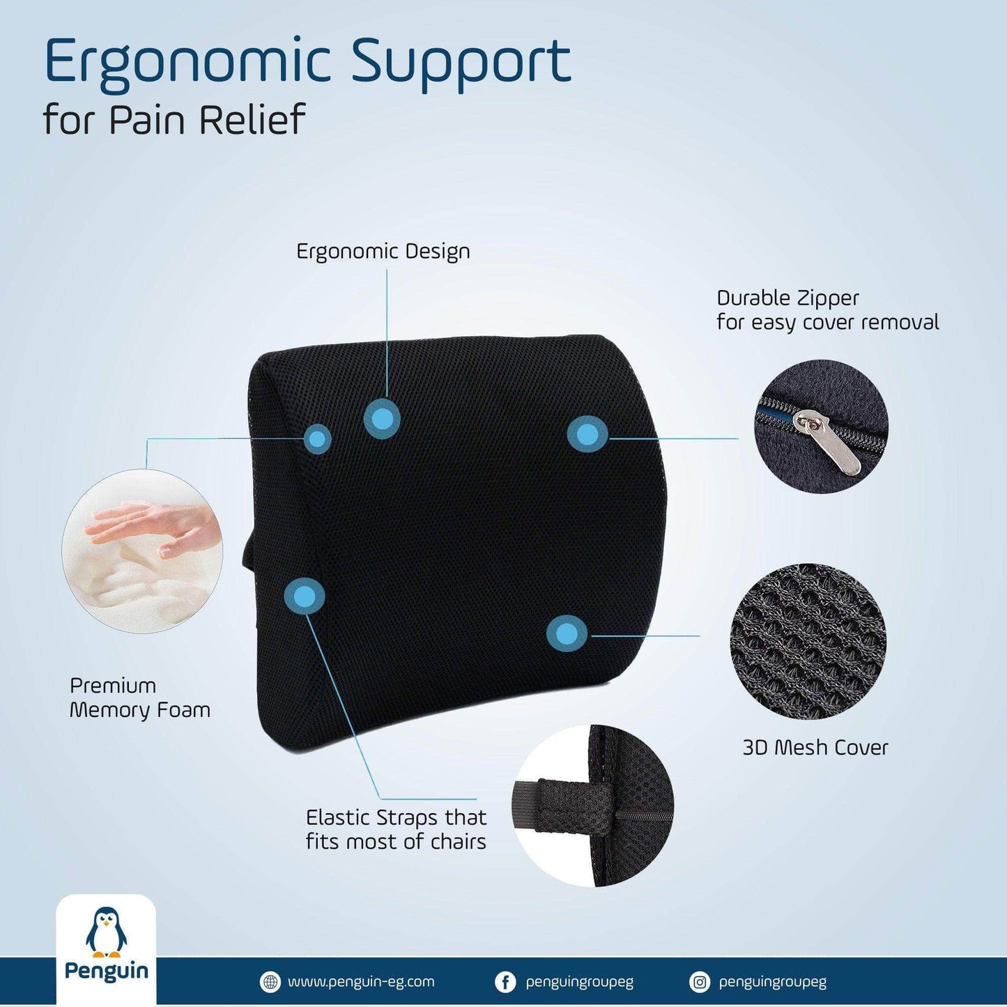 Penguin Group Cushions Lumbar & Coccyx Seat Cushion