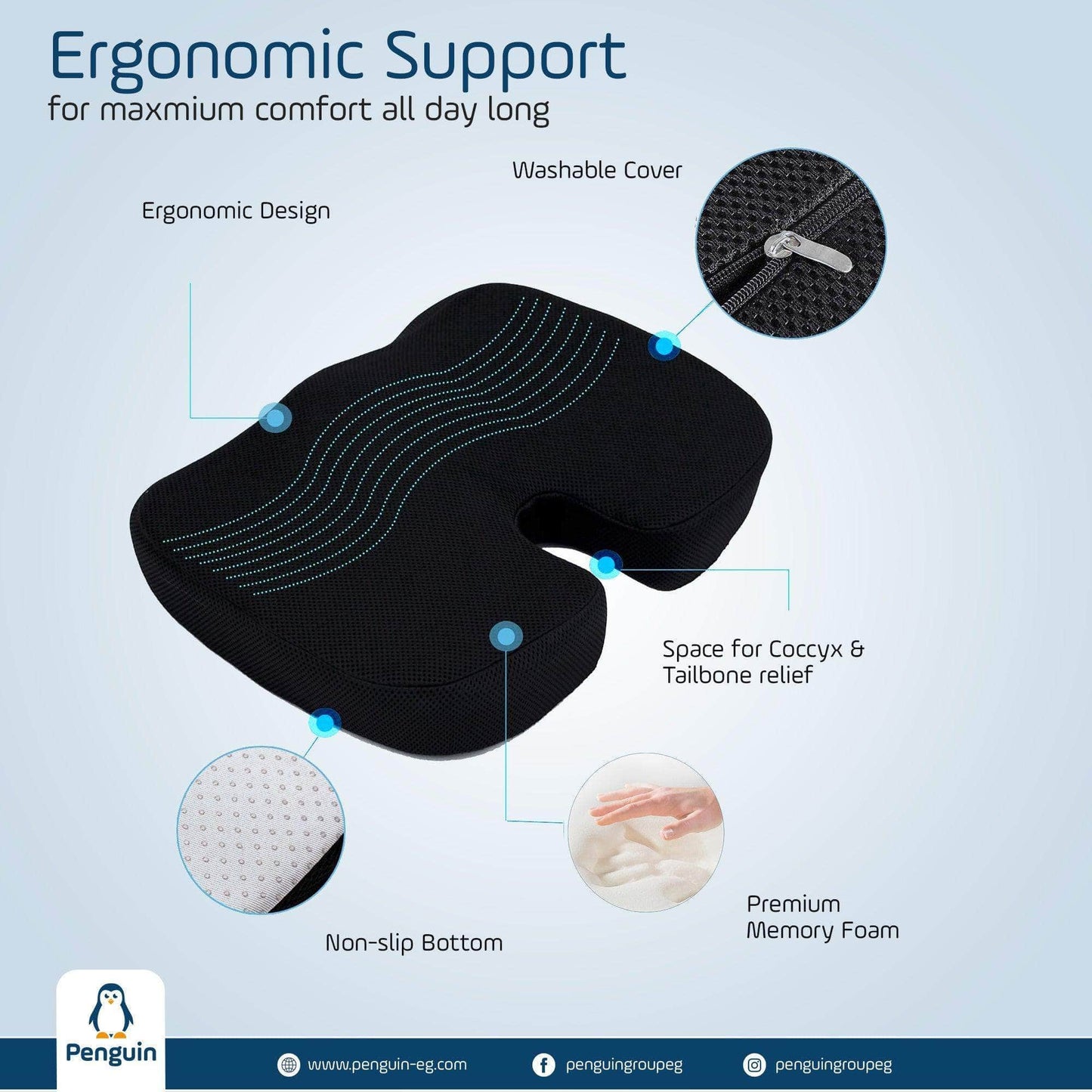 Penguin Group Cushions Lumbar & Coccyx Seat Cushion