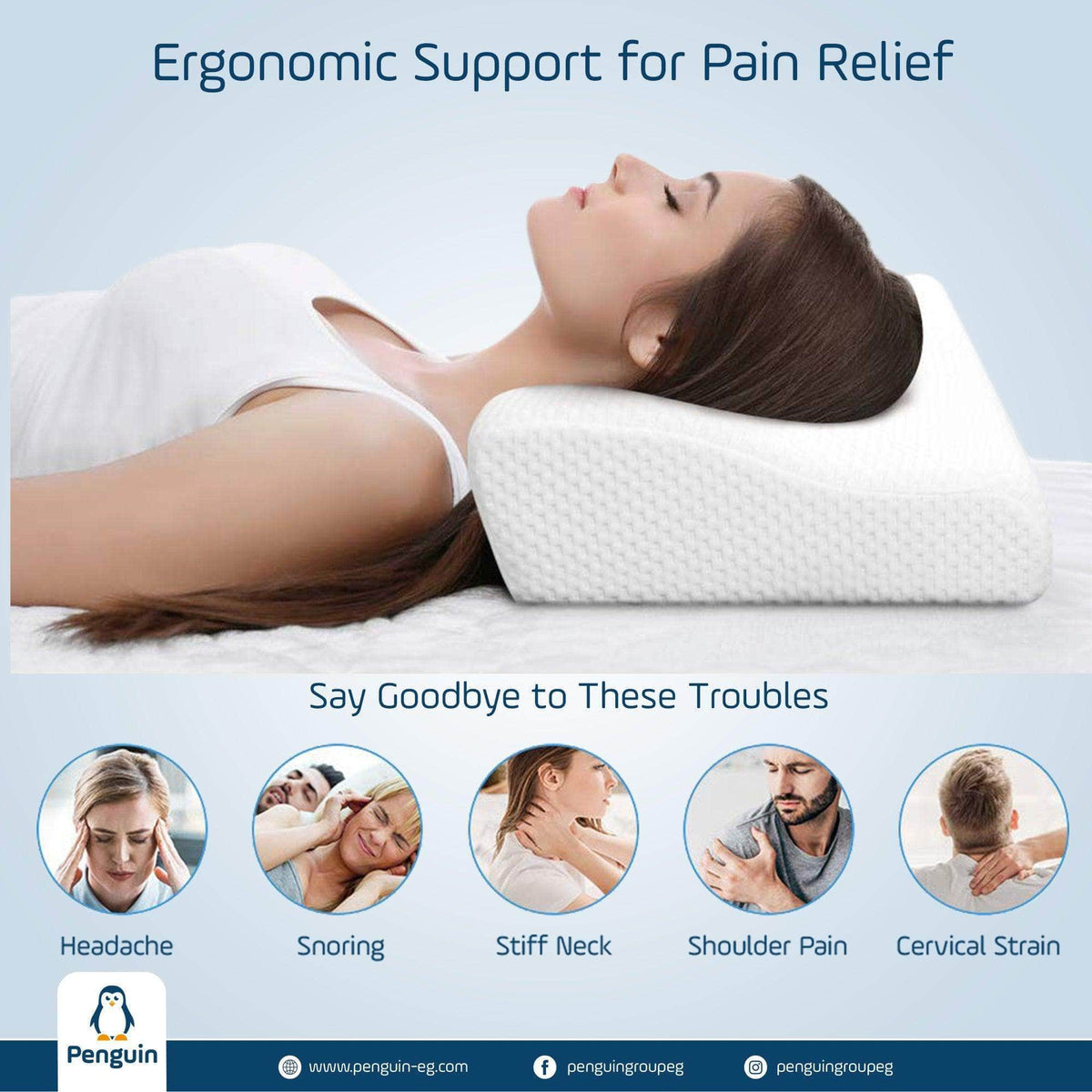 Penguin Group Pillows Cervical Contour Memory Foam Pillow