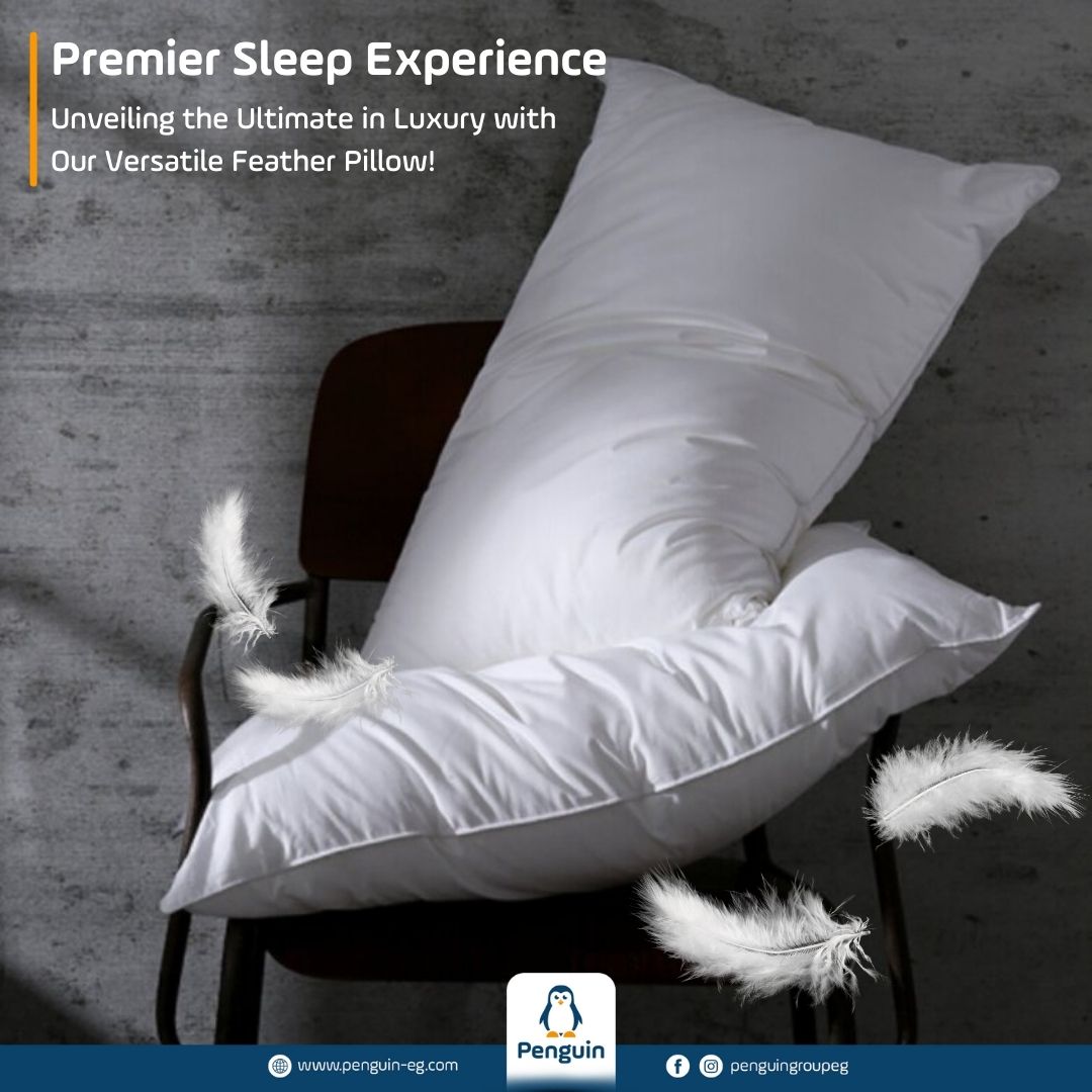 Feather Pillows