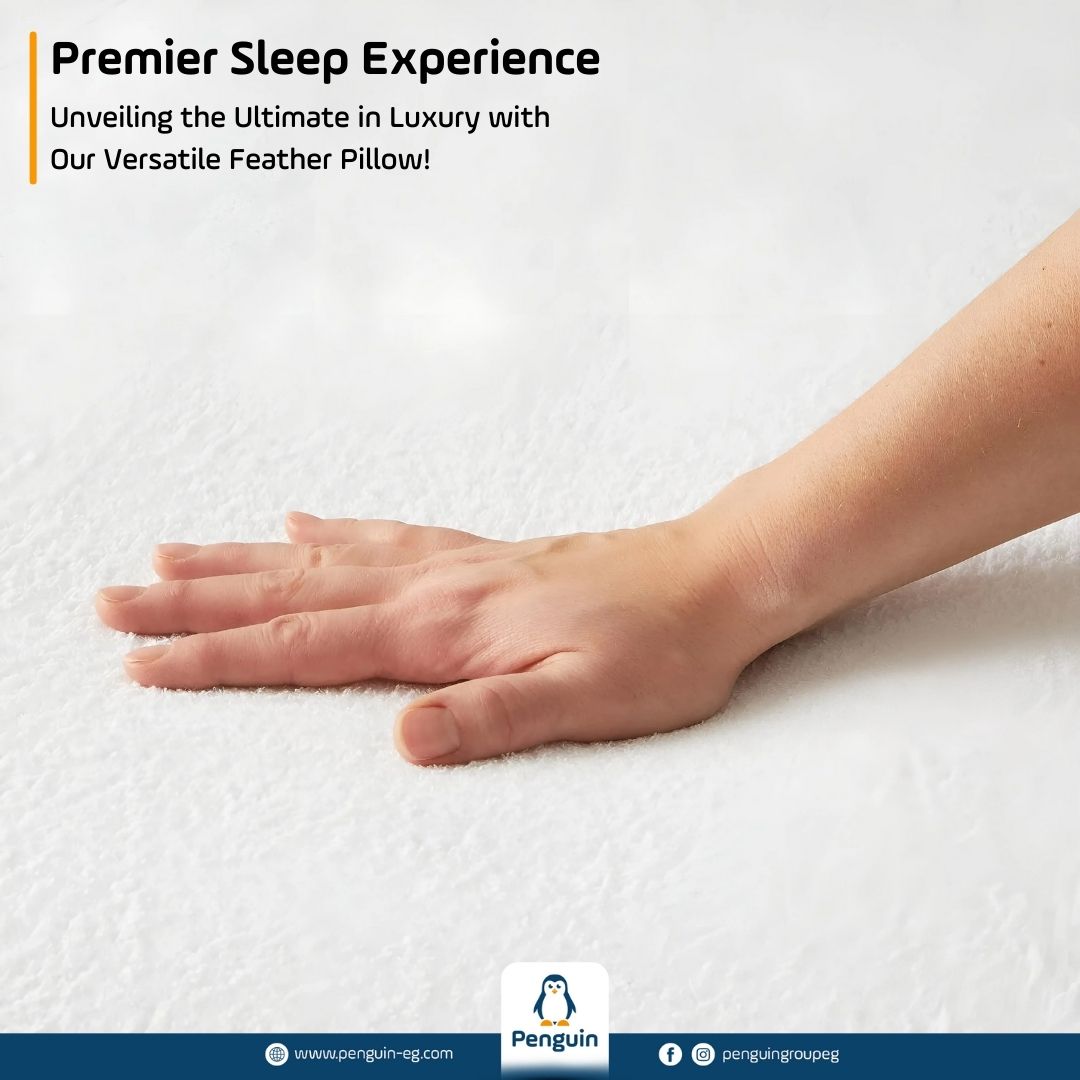 Mattress Protector Comforter