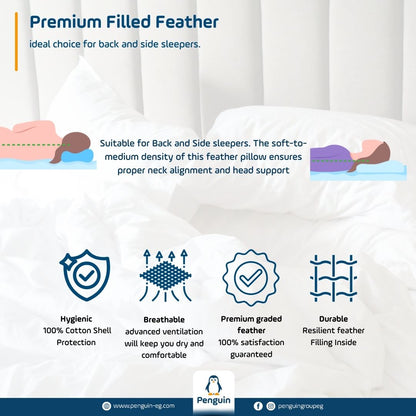 Feather Pillows