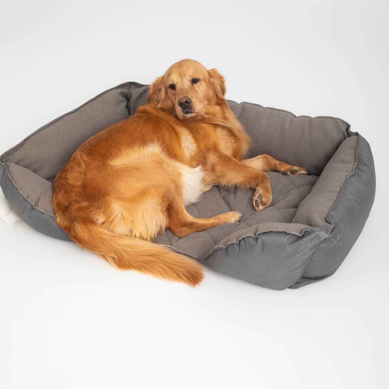Penguin Group Barry Pet Bed