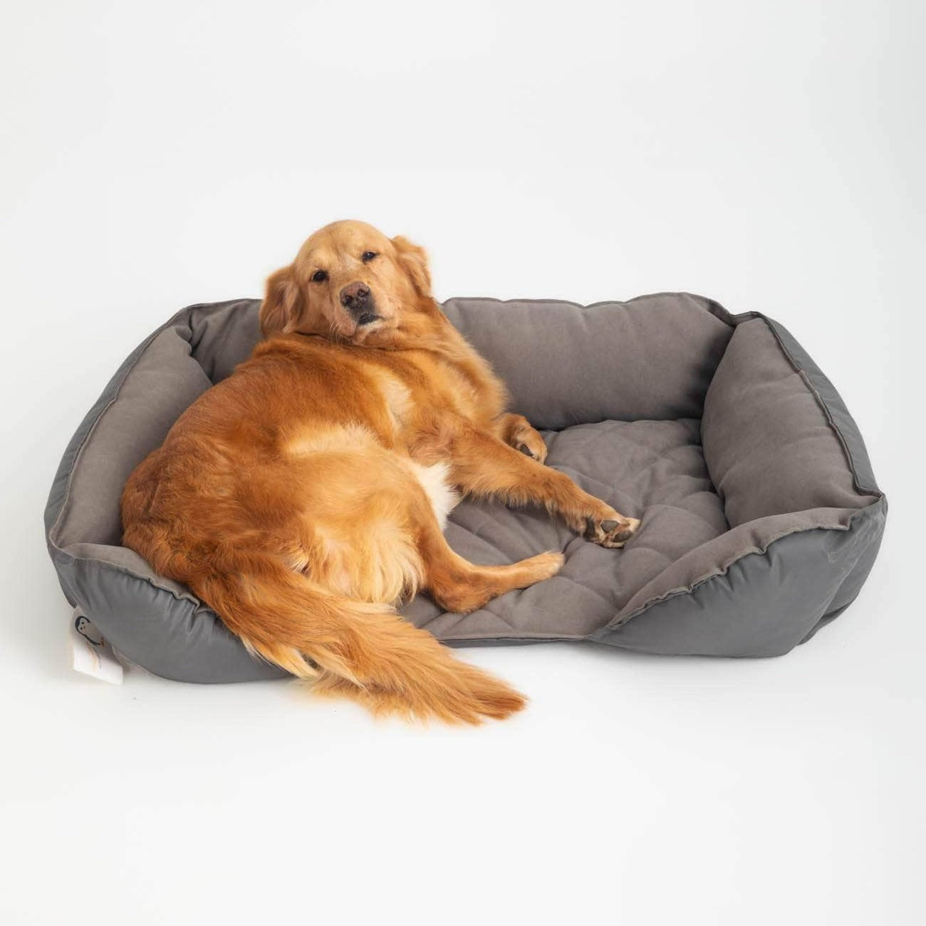 Penguin Group Barry Pet Bed