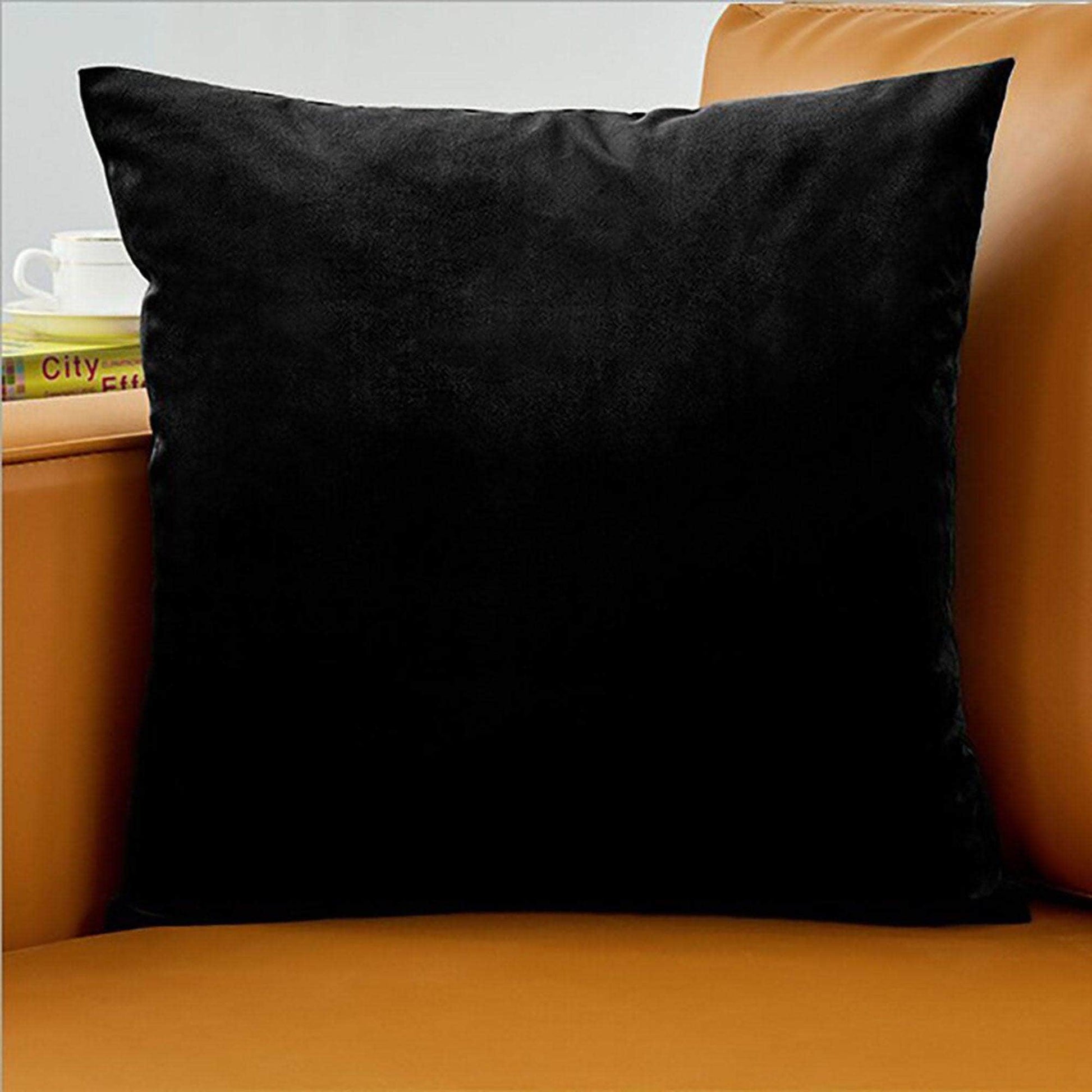 Penguin Group Black Solid Velvet Throw Pillows