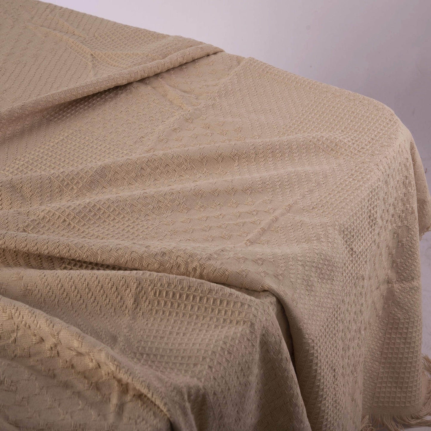 Penguin Group Blanket & Duvet Beige Solid Tassel Fringe Throw Blanket 240 cm2