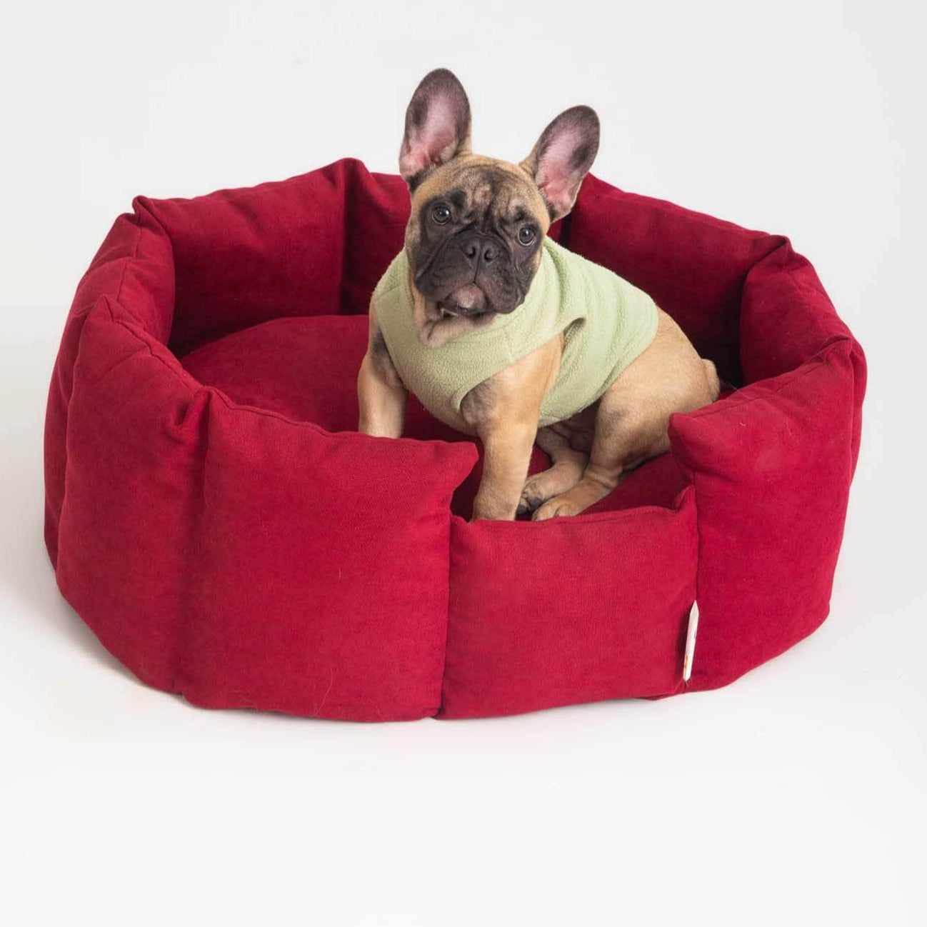 Penguin Group Cozy Pet Hugger