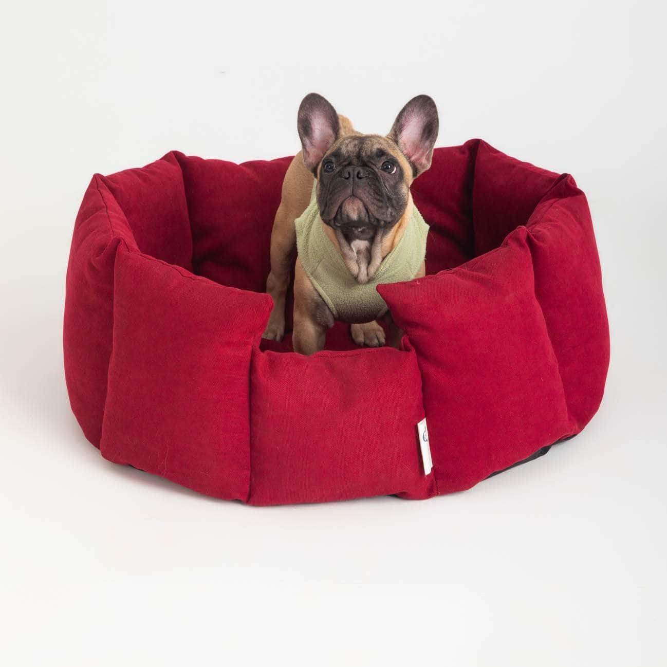 Penguin Group Cozy Pet Hugger