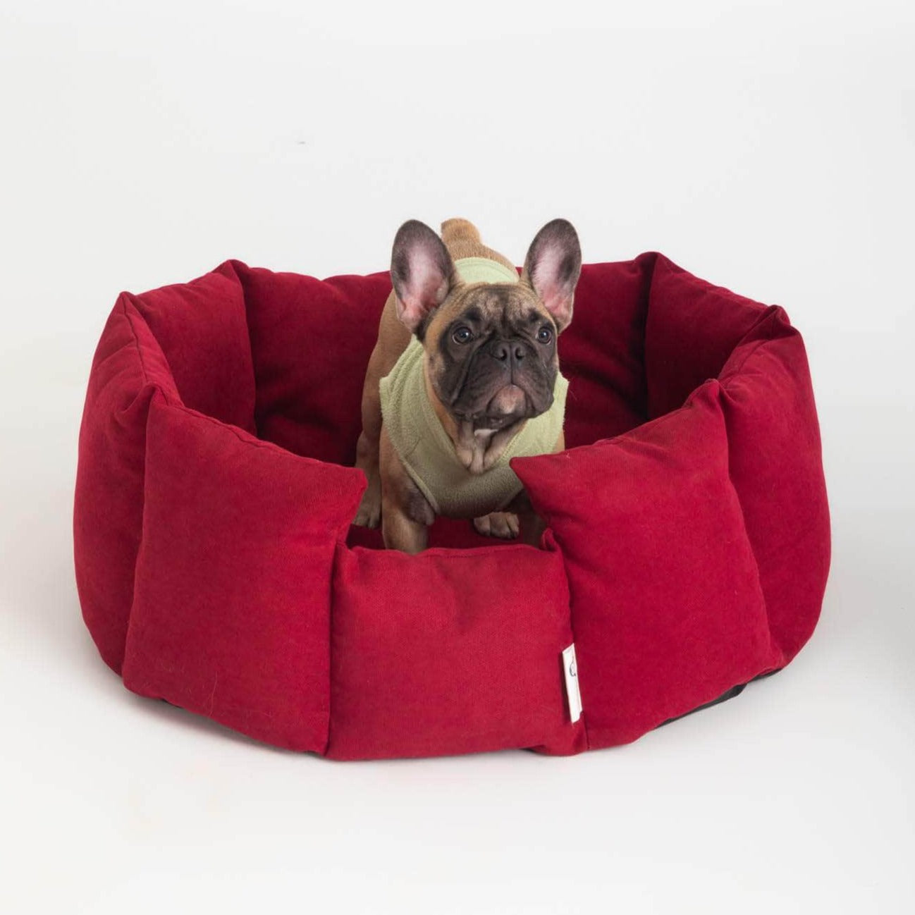 Penguin Group Cozy Pet Hugger