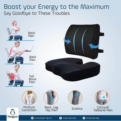 Penguin Group Cushions Lumbar & Coccyx Seat Cushion