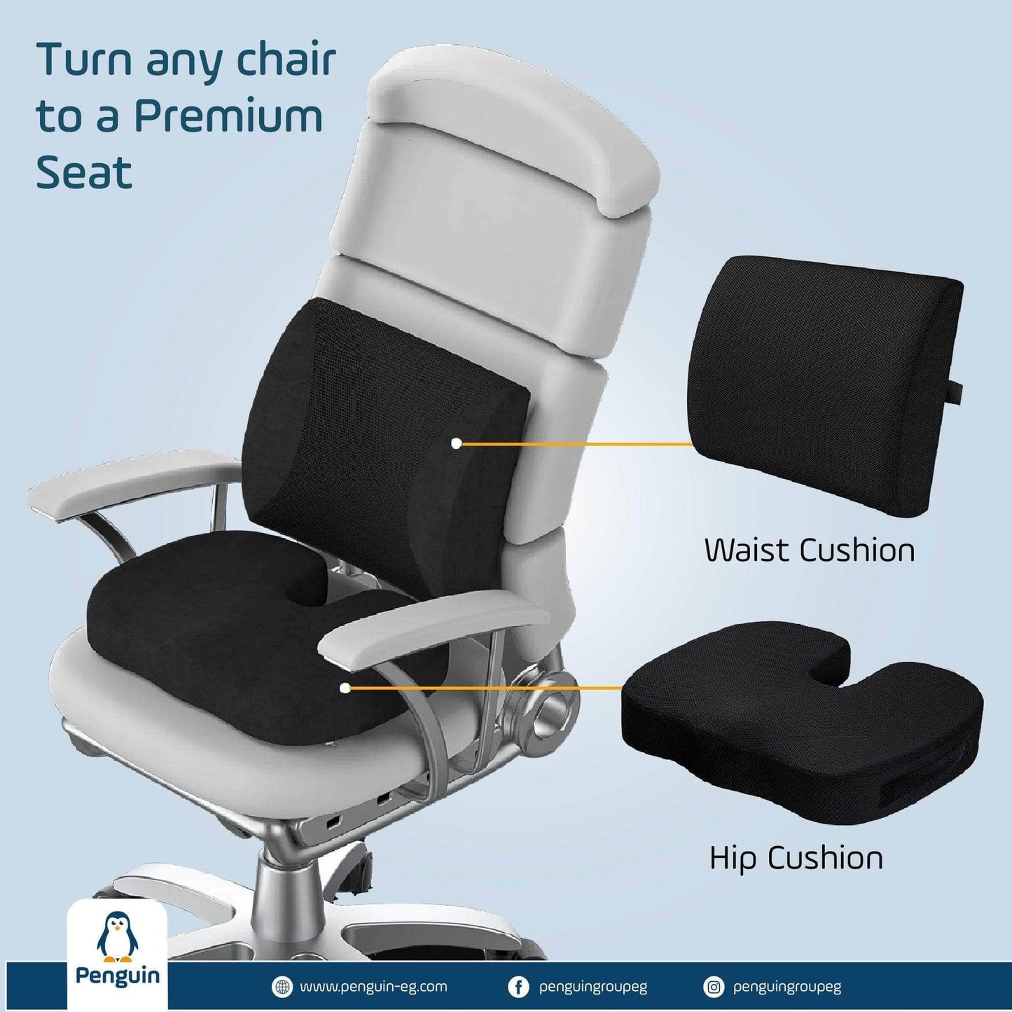 Penguin Group Cushions Lumbar & Coccyx Seat Cushion