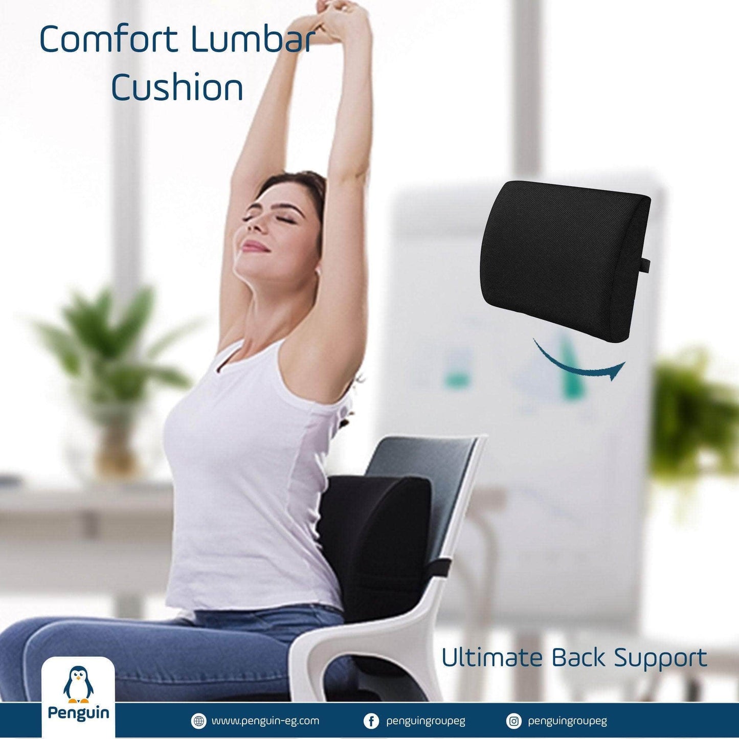 Penguin Group Cushions Lumbar Premium Cushion