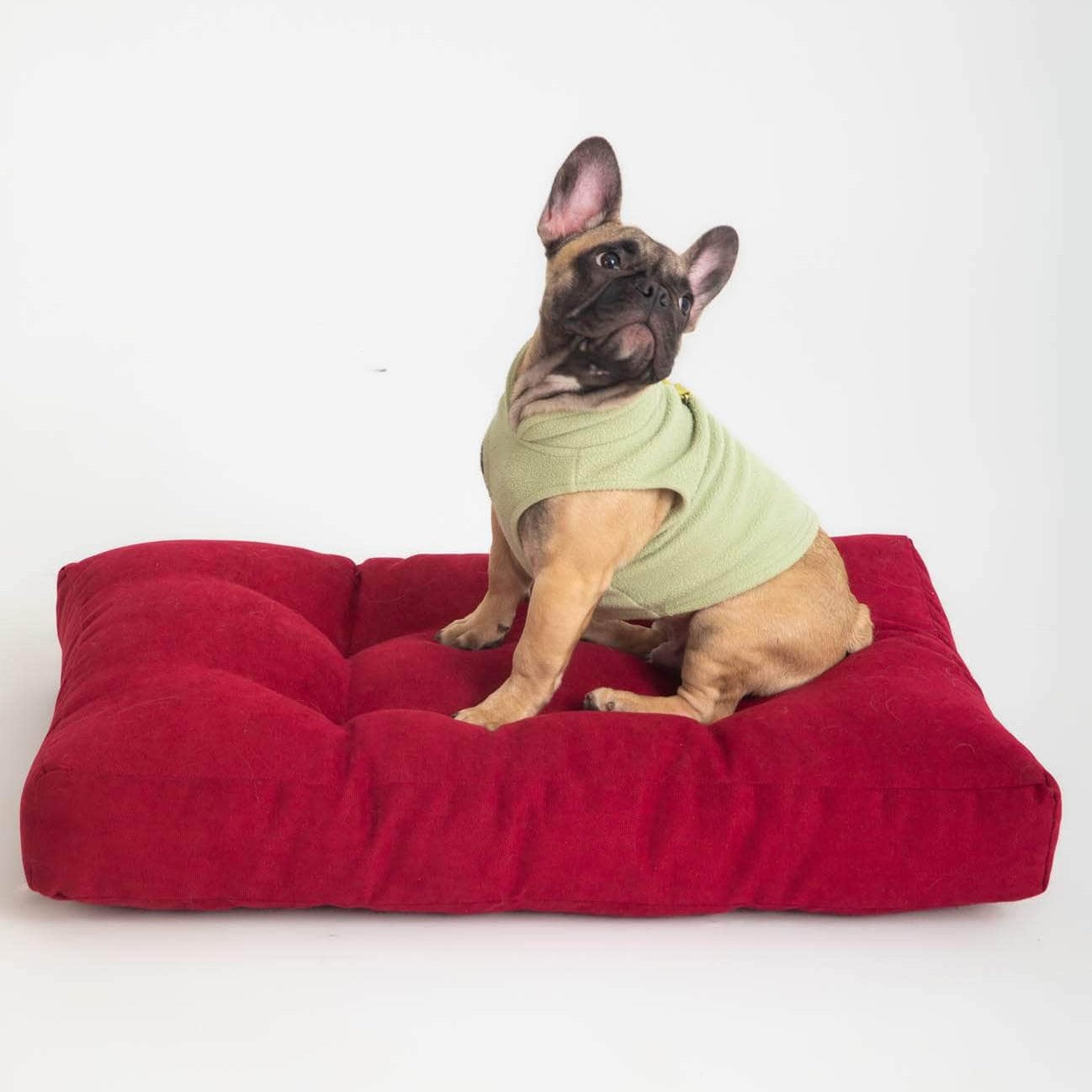 Penguin Group Grand Pet Bed Cushion