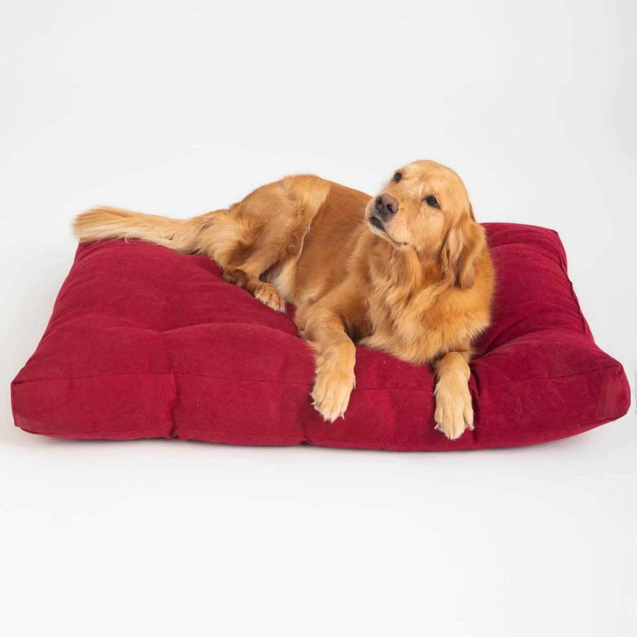 Penguin Group Grand Pet Bed Cushion