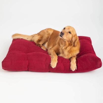 Penguin Group Grand Pet Bed Cushion