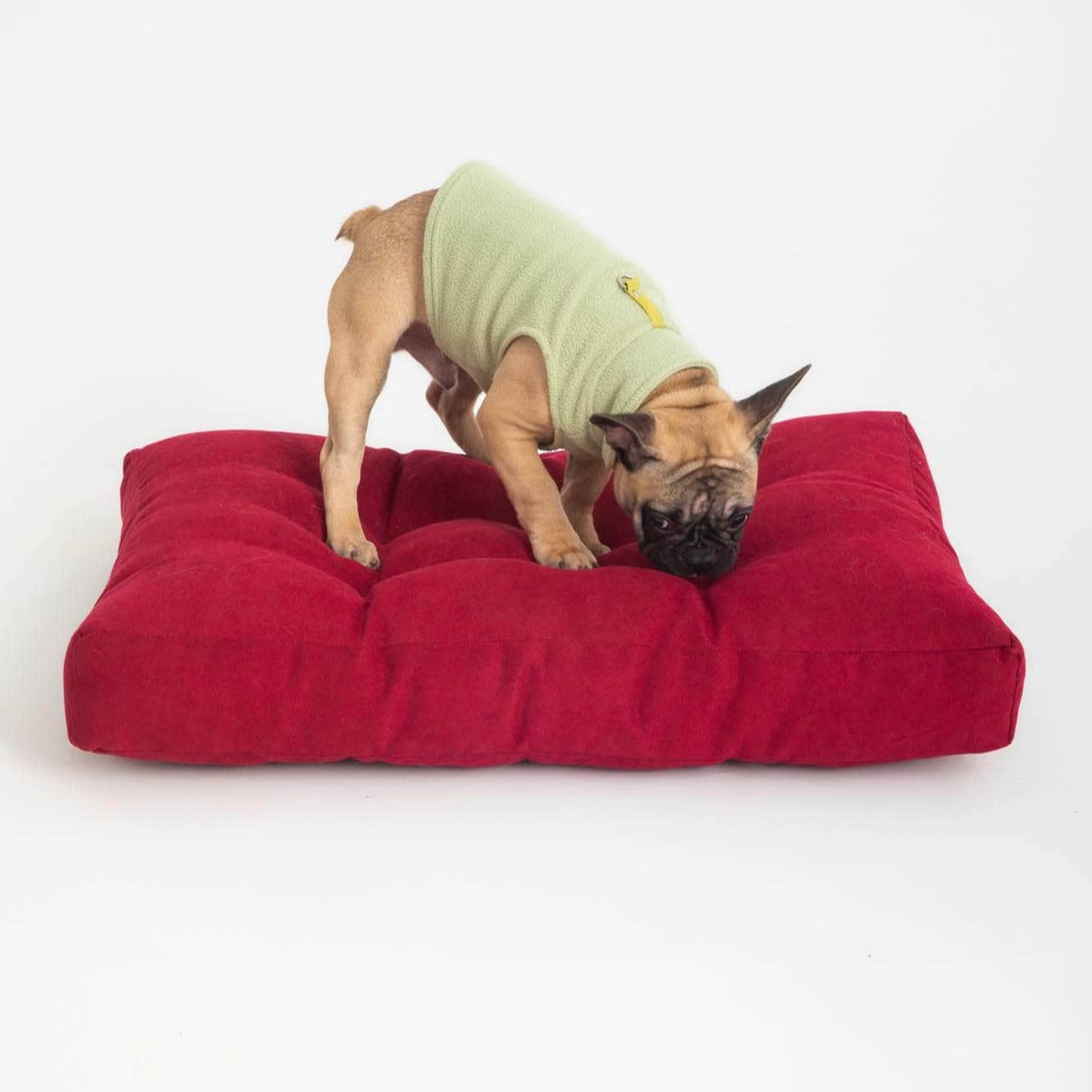 Penguin Group Grand Pet Bed Cushion
