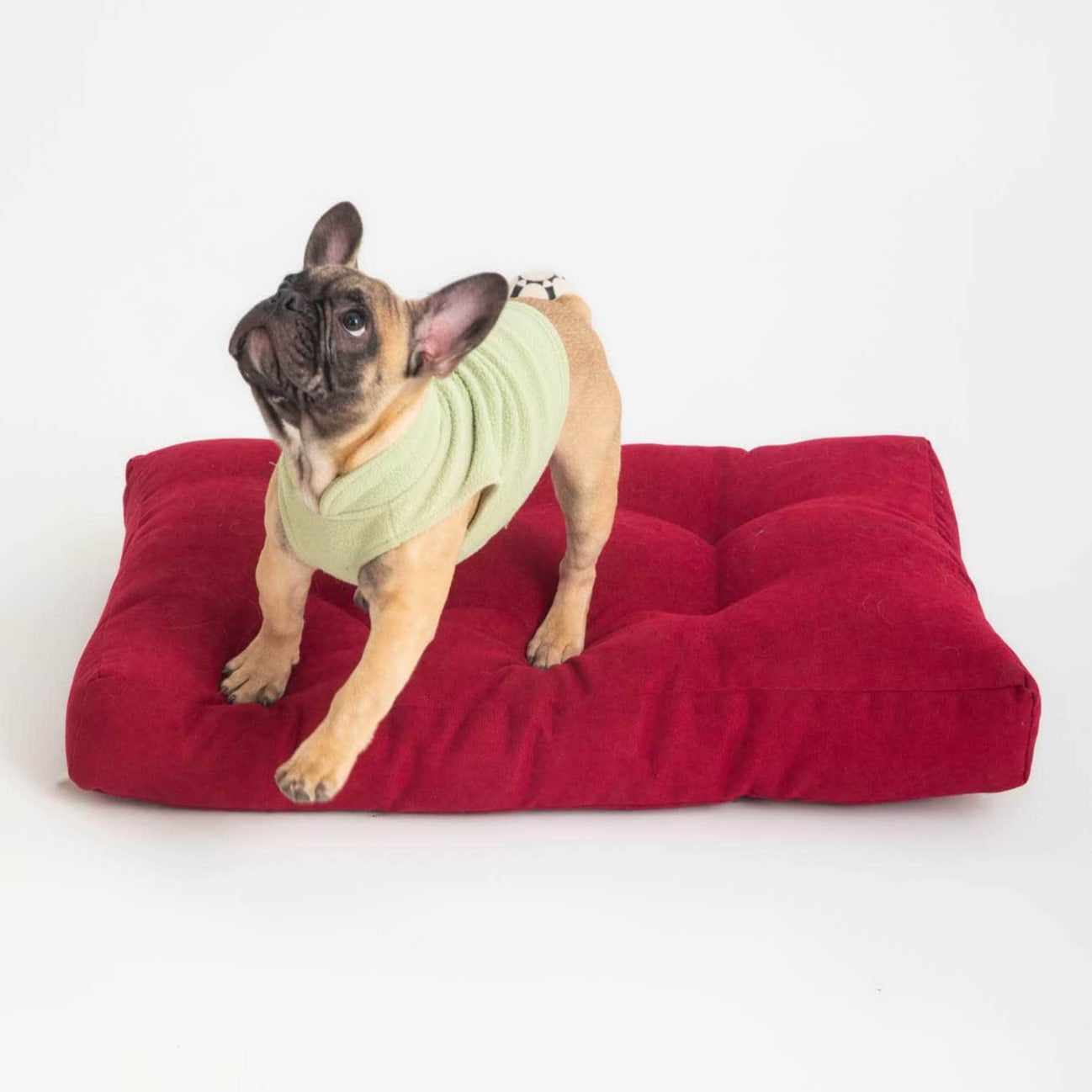 Penguin Group Grand Pet Bed Cushion