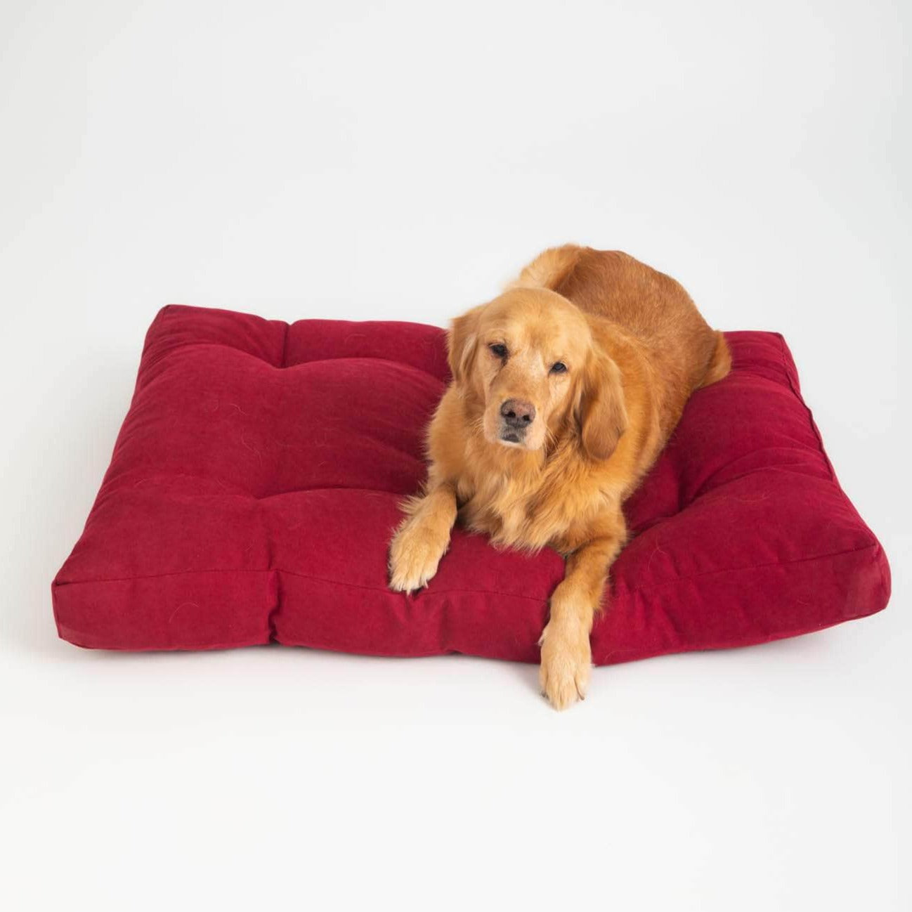 Penguin Group Grand Pet Bed Cushion