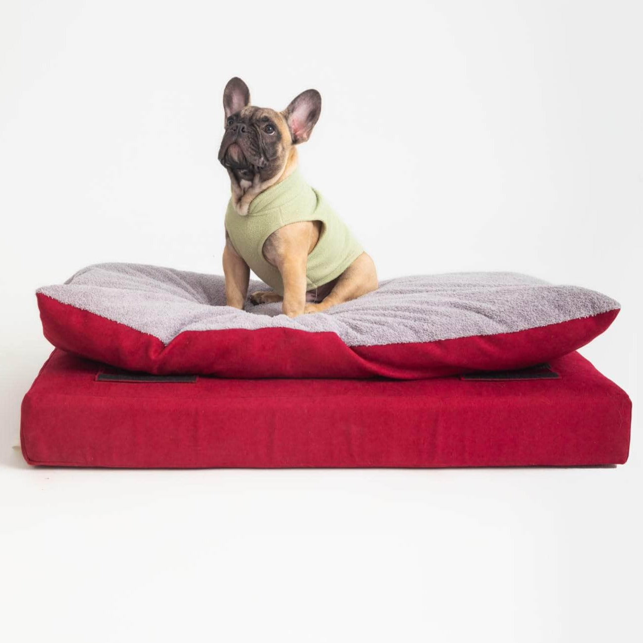Penguin Group Grandulla Pet bed