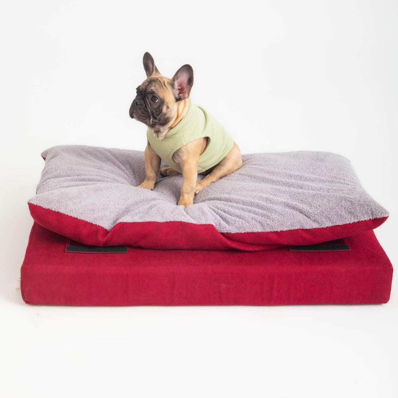 Penguin Group Grandulla Pet bed