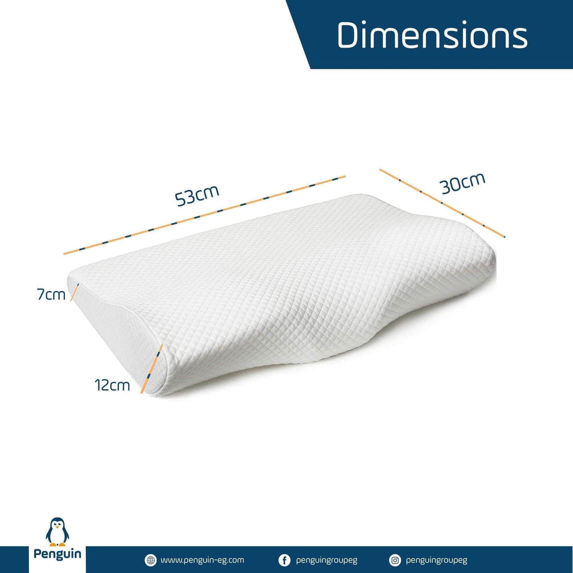 Penguin Group Pillows Cervical Contour Memory Foam Pillow