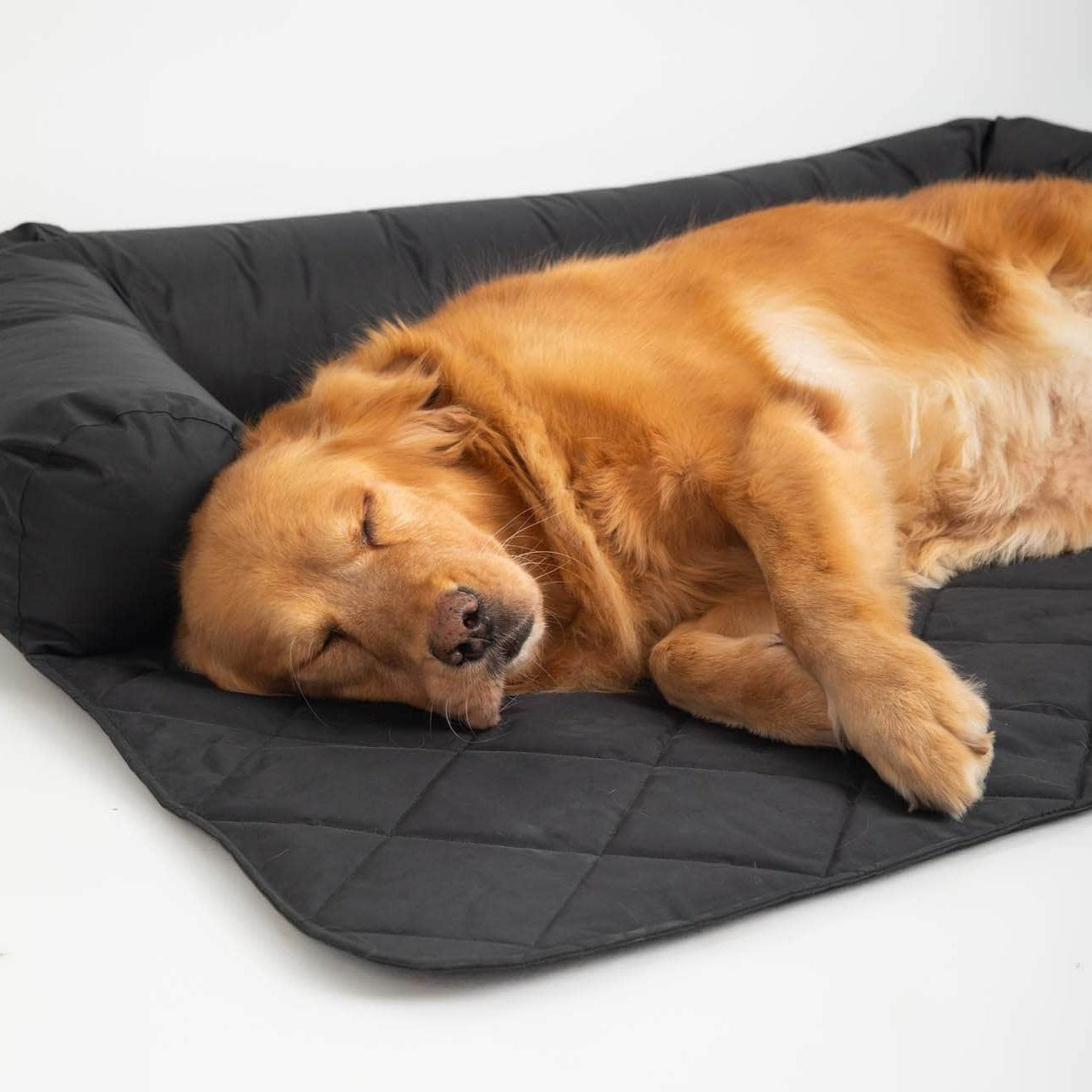 Penguin Group Sofa Pet-Bed Cover