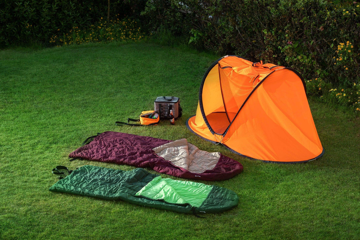 Penguin Standard 1-2 persons Popup Tent