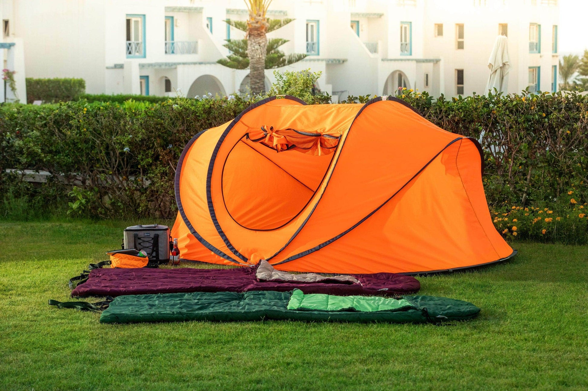 Standard 4-6 persons Popup Tent – Penguin Group